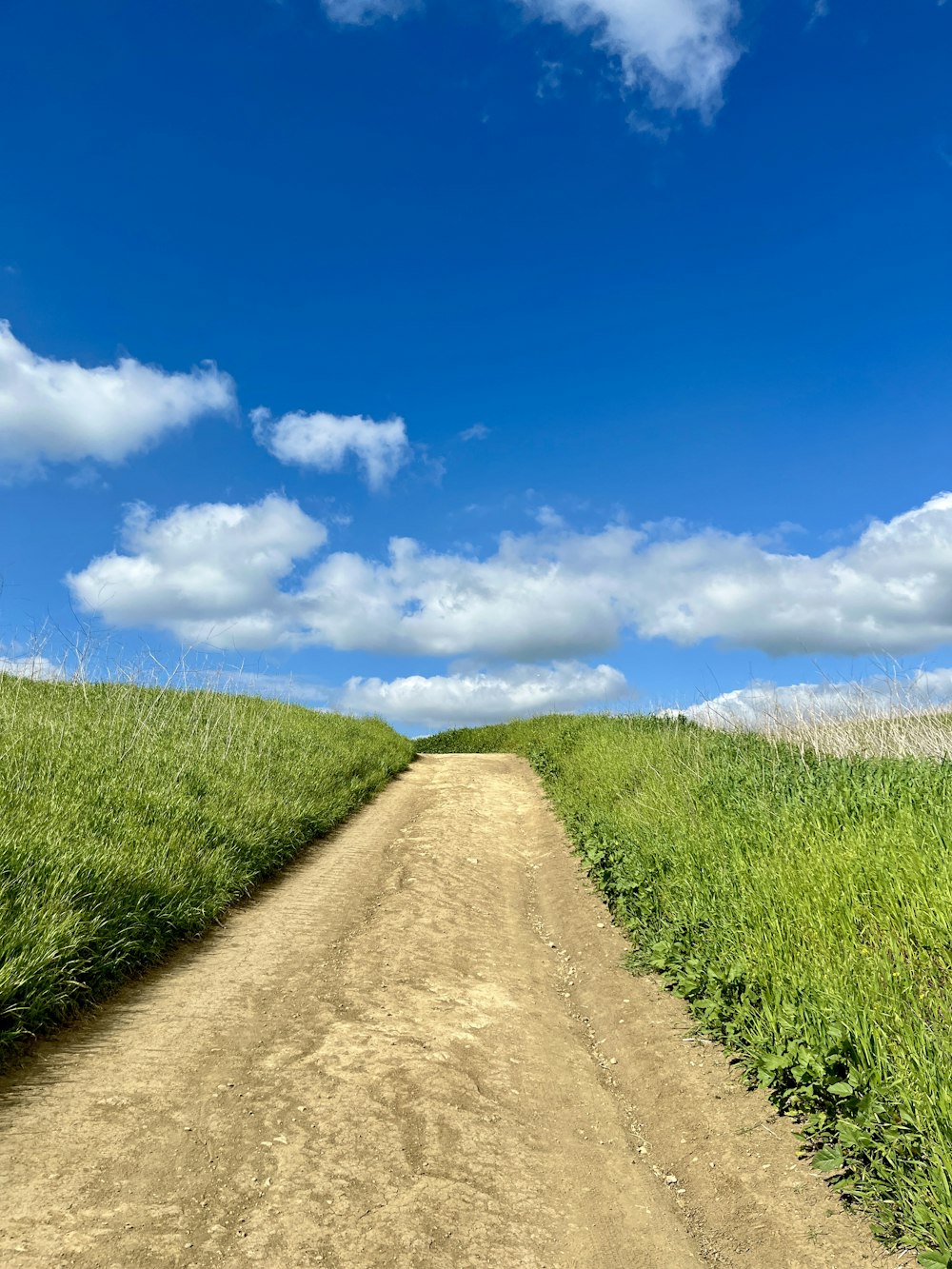 a dirt road in the middle of a grassy field