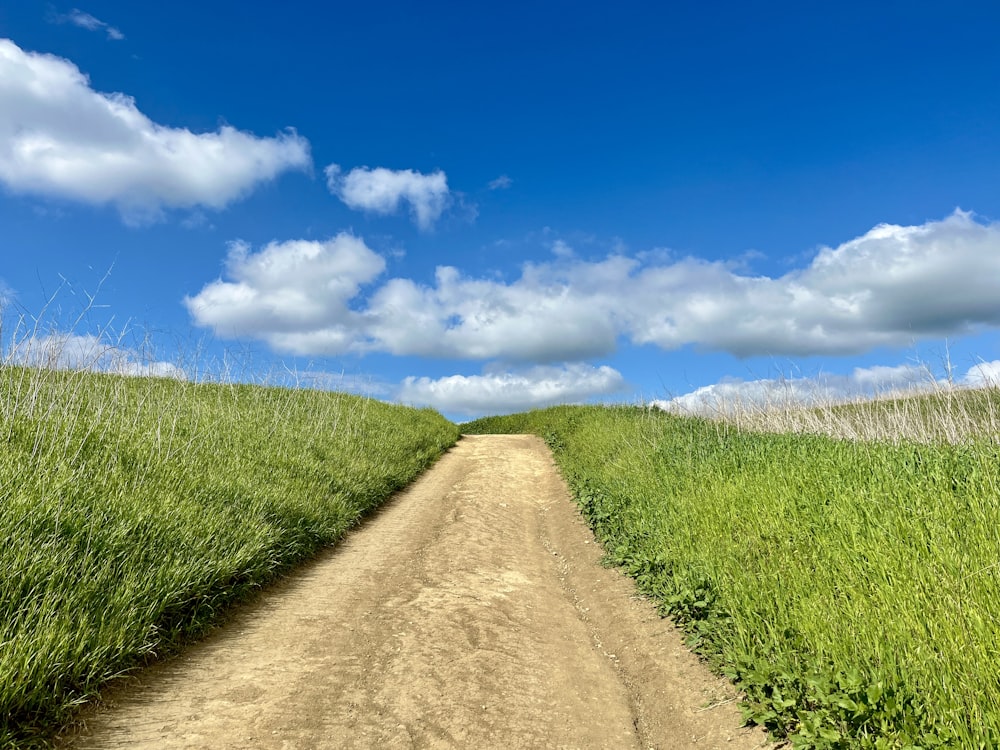 a dirt road in the middle of a grassy field