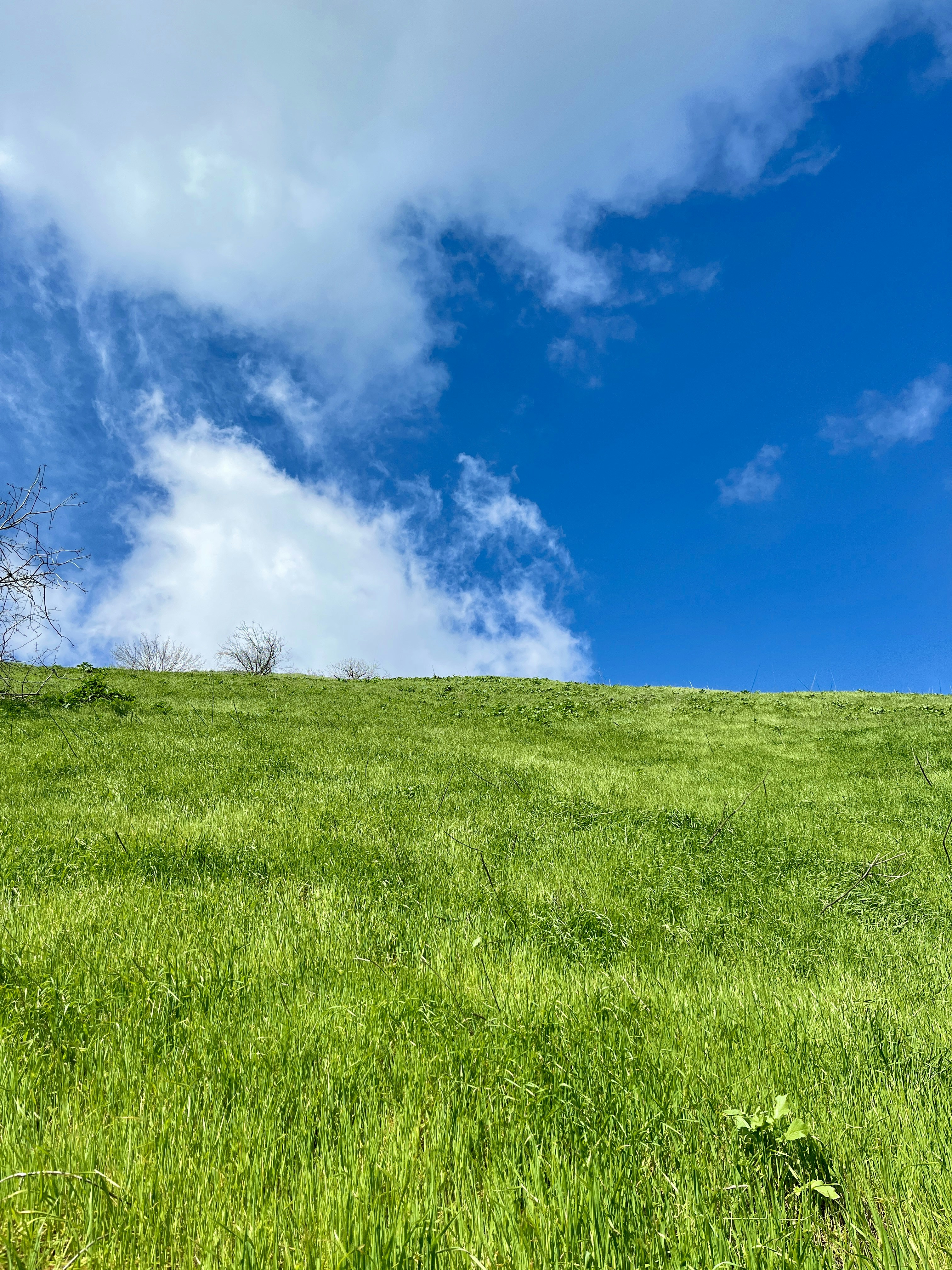 Photo by spencer_demera