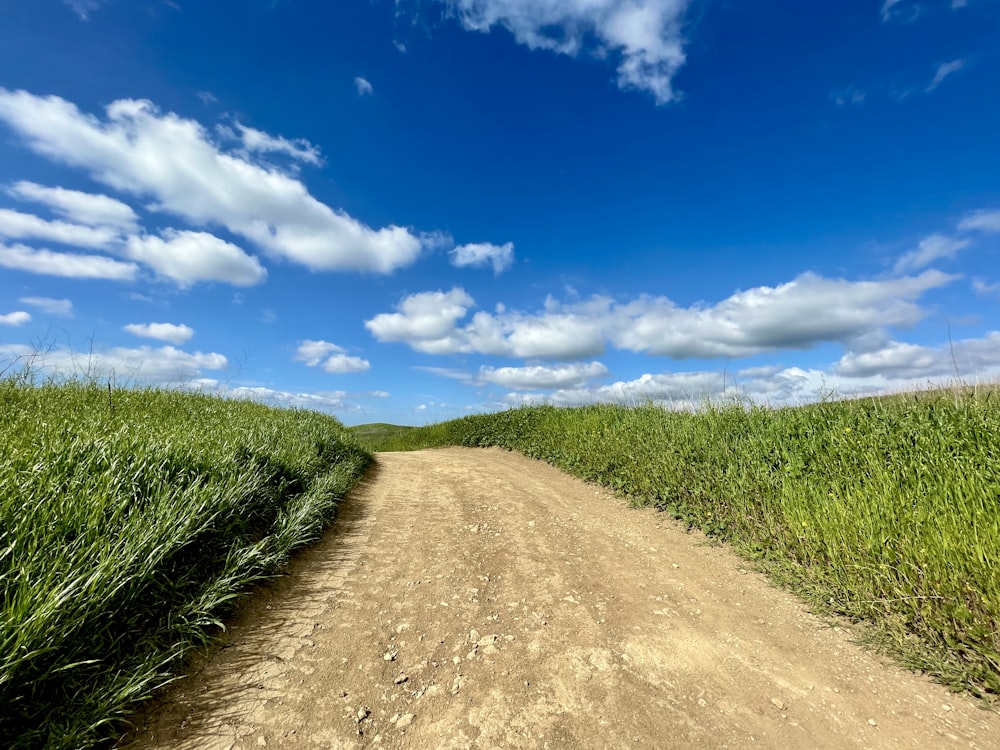 a dirt road in the middle of a field