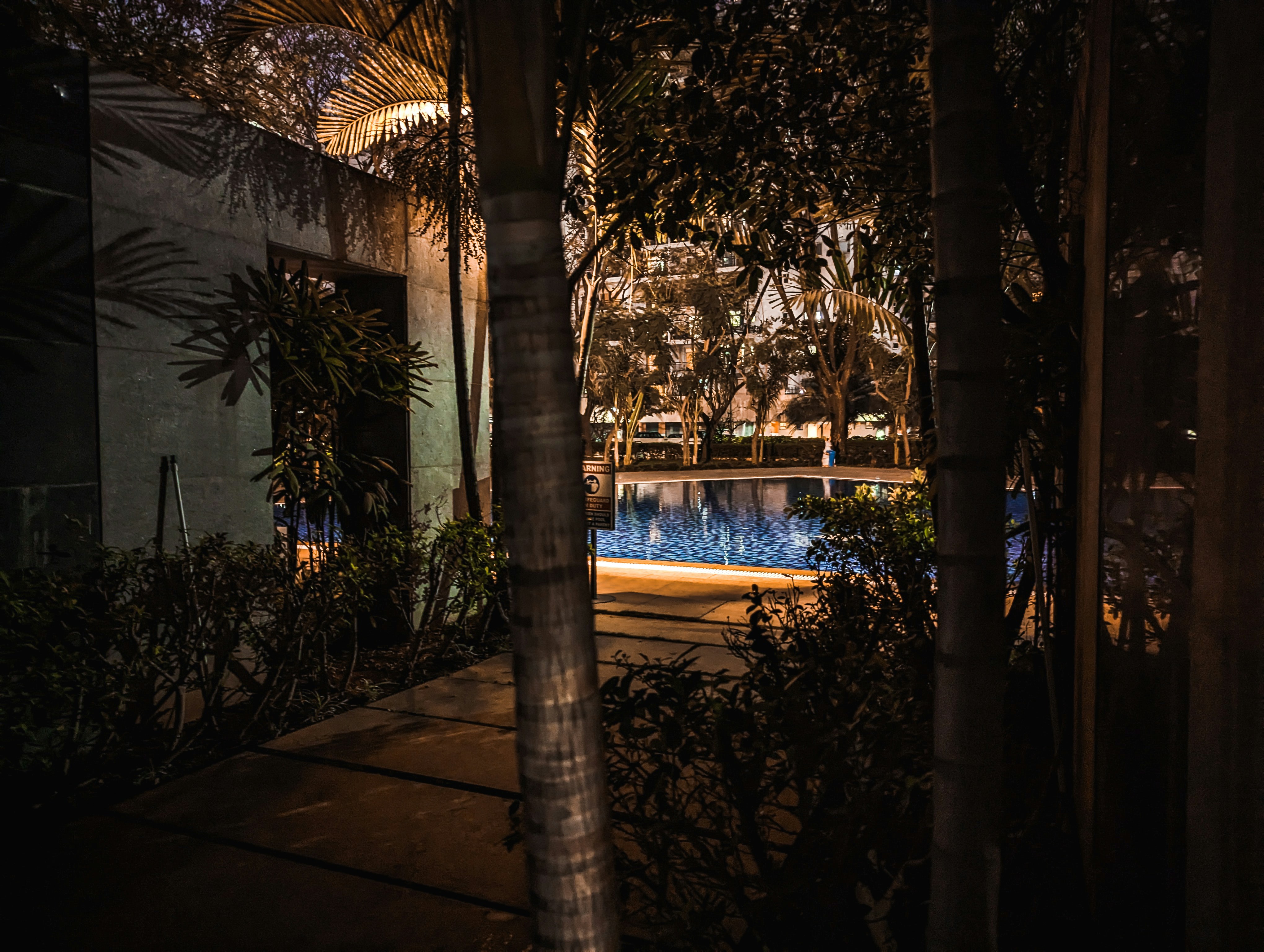 Photo by vikramaditya