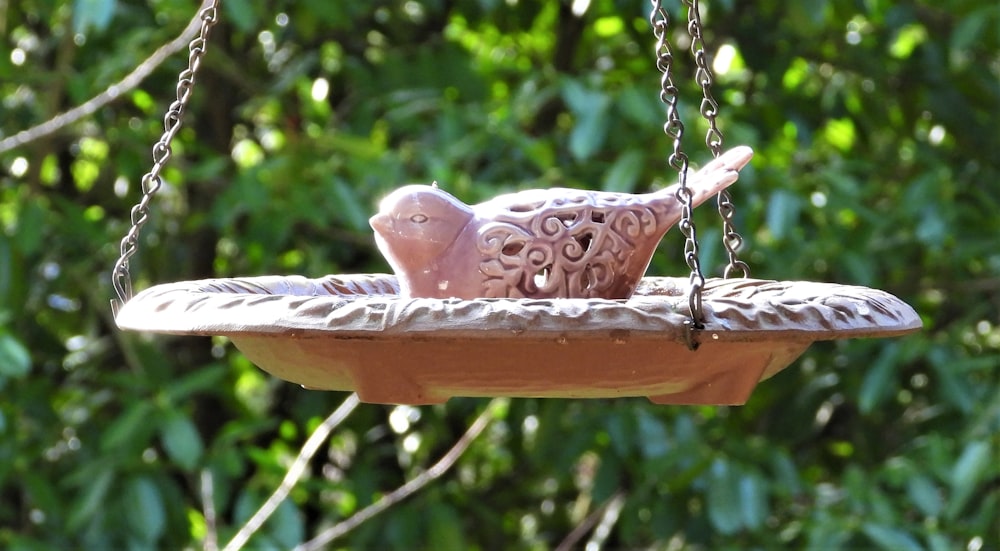 a bird feeder with a bird on top of it