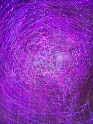A swirling pattern of vibrant purple and hints of blue light trails creates a dynamic and abstract visual effect. The image resembles a vortex or tunnel of light, filled with intricate details and motion.