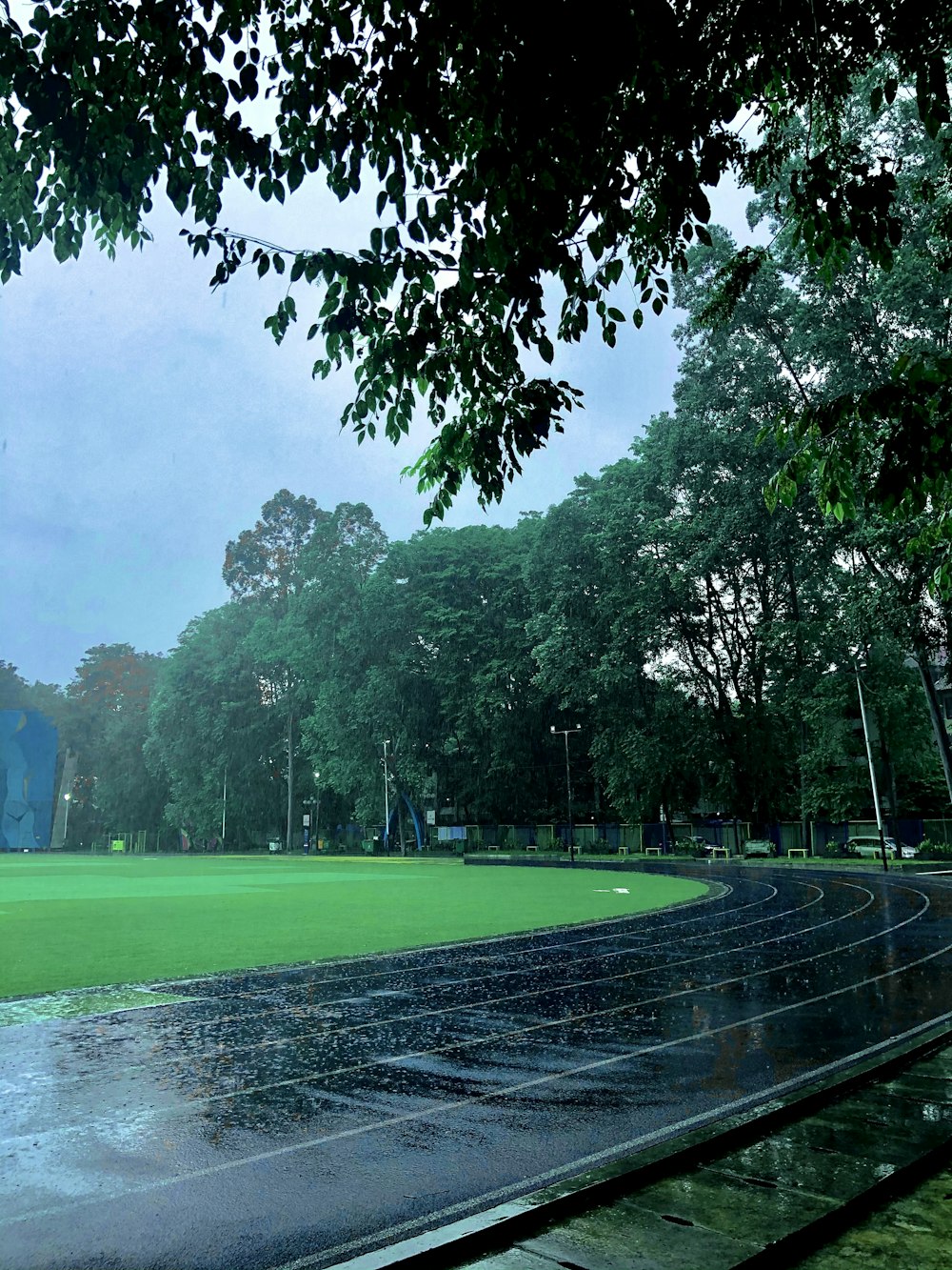 a rain soaked park with benches and trees