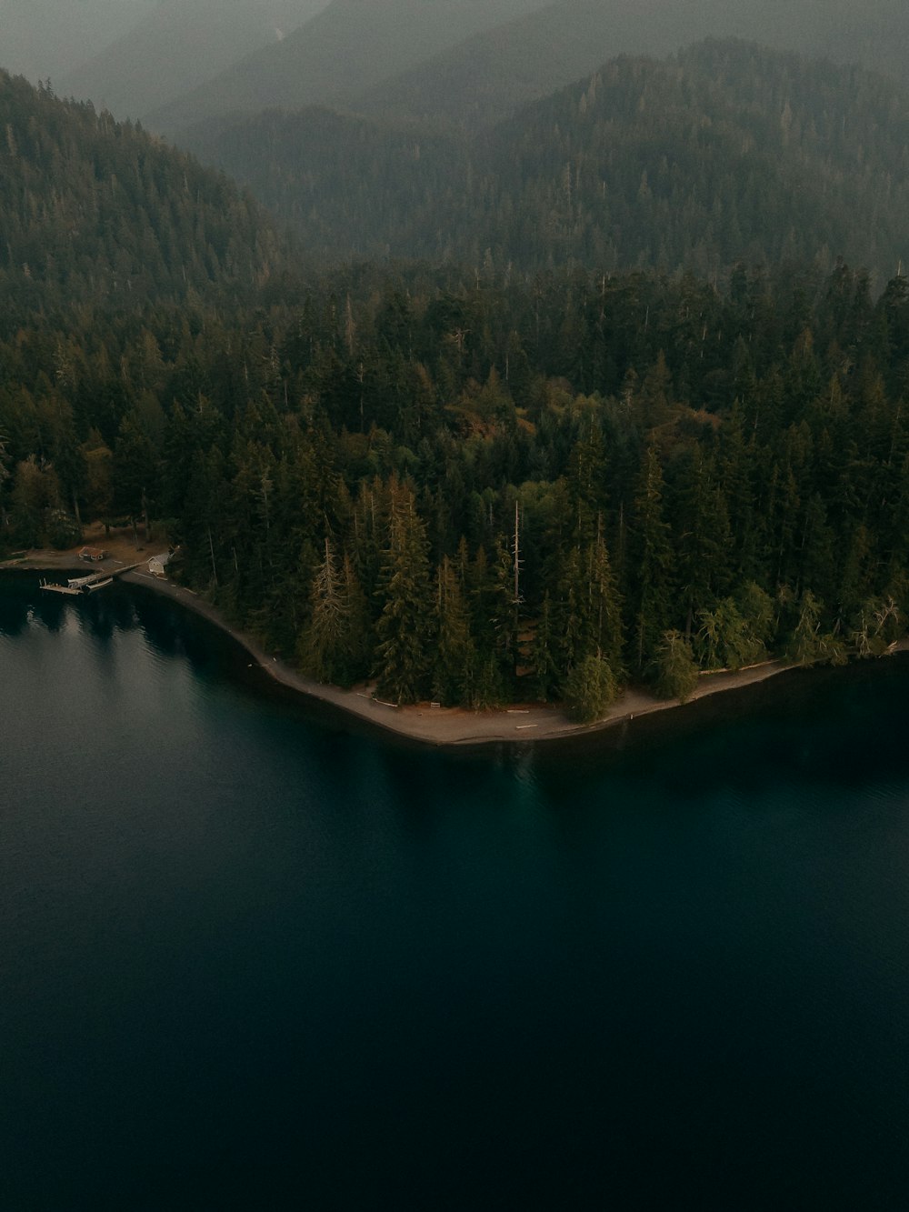 Un gran cuerpo de agua rodeado de bosque