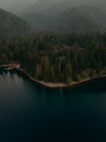 Aerial view of a dense forest surrounded by misty mountains, with a dark, calm lake in the foreground. The shoreline is lined with tall evergreen trees, creating a sense of tranquility and isolation.