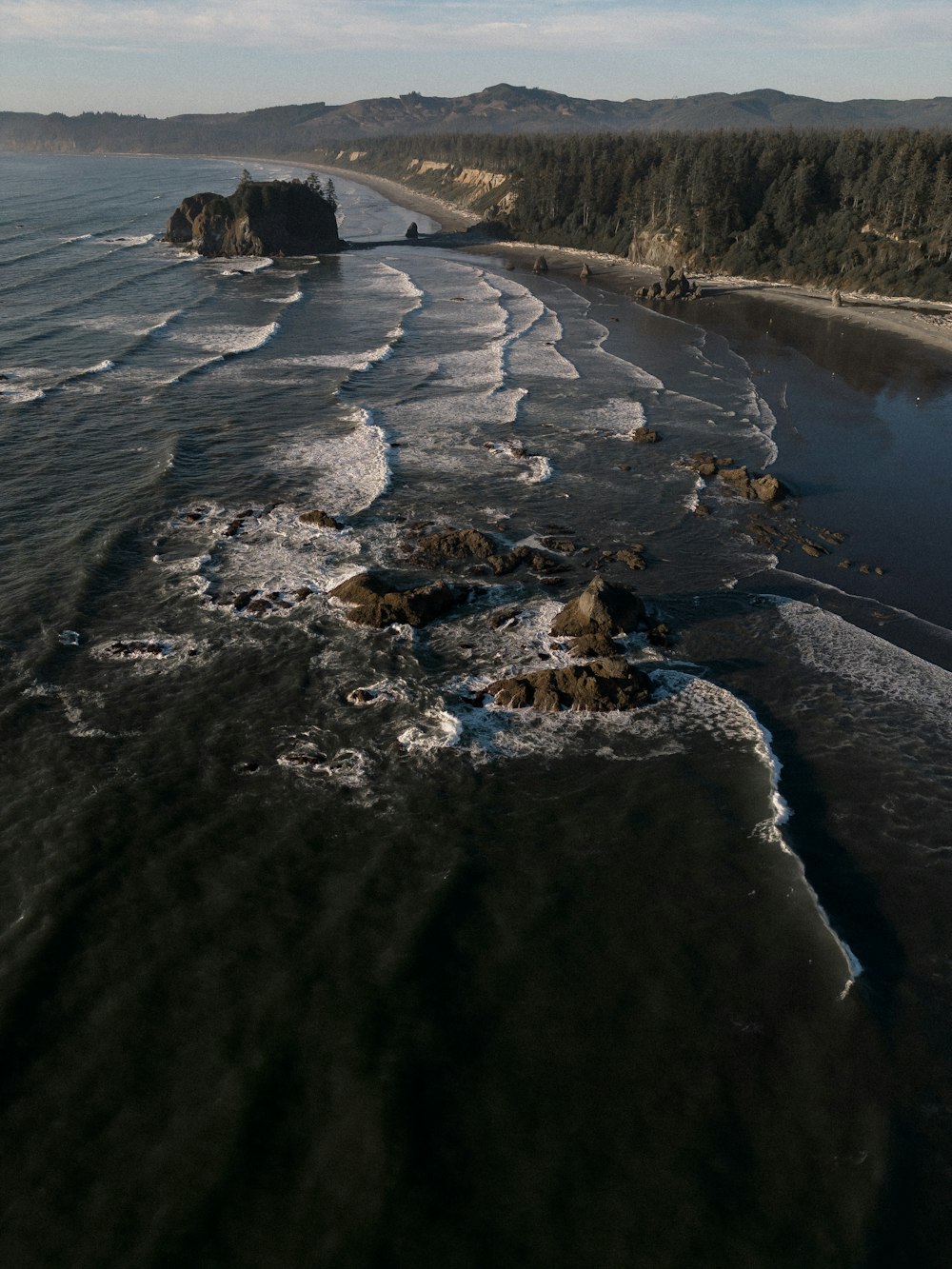 an aerial view of a beach and a forested area