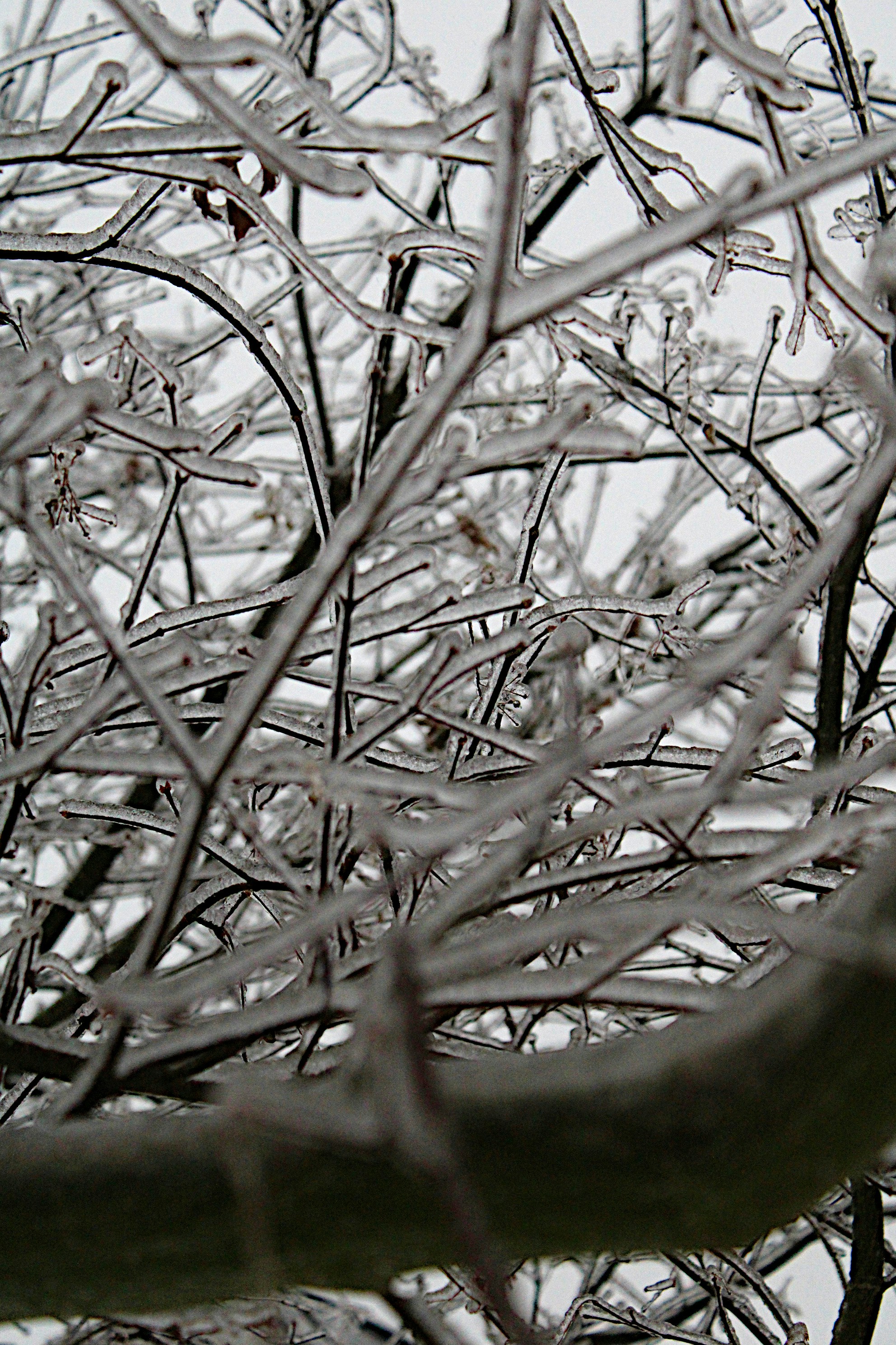 Photo by isaacstevenlind