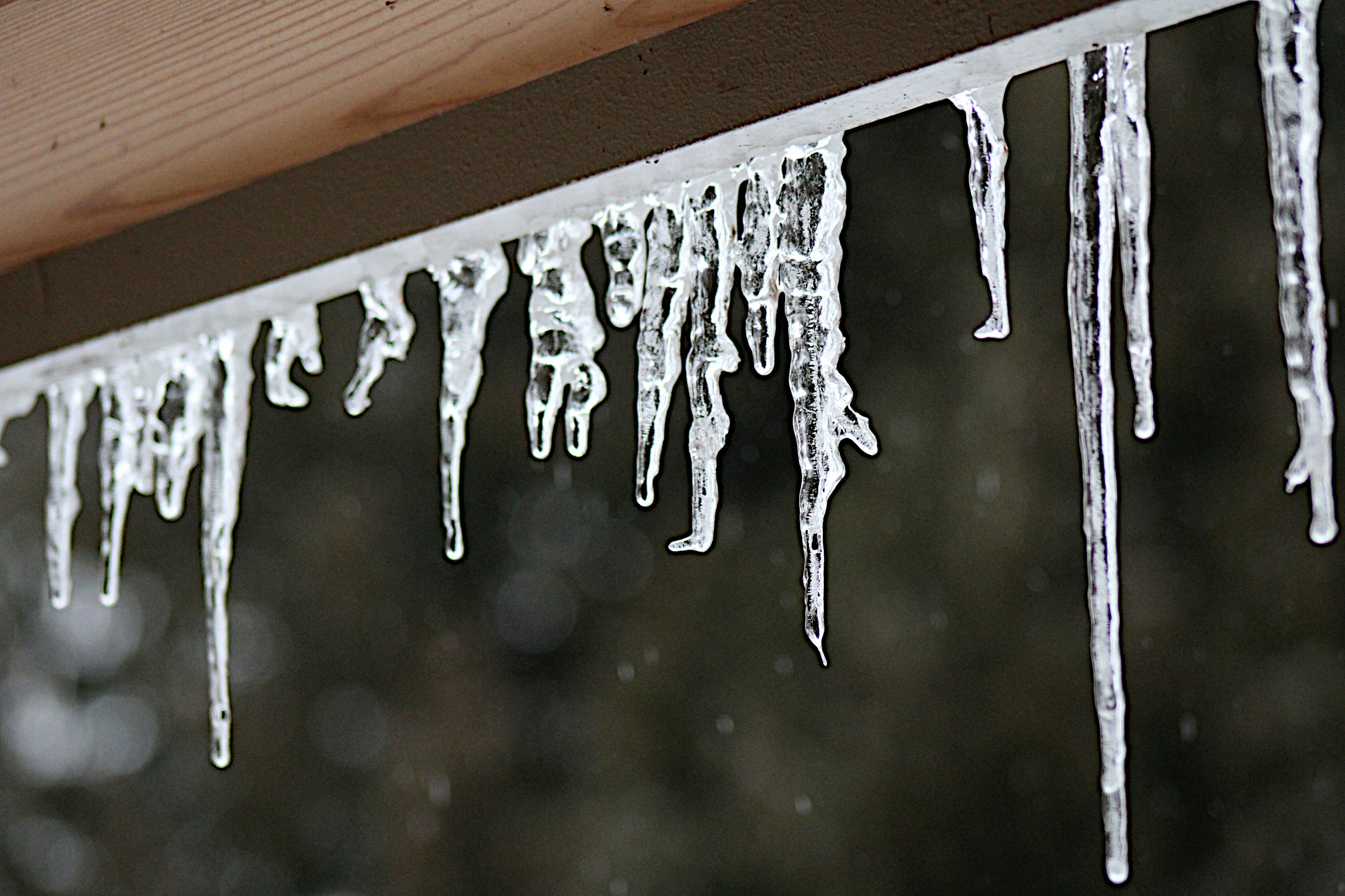 Photo by isaacstevenlind