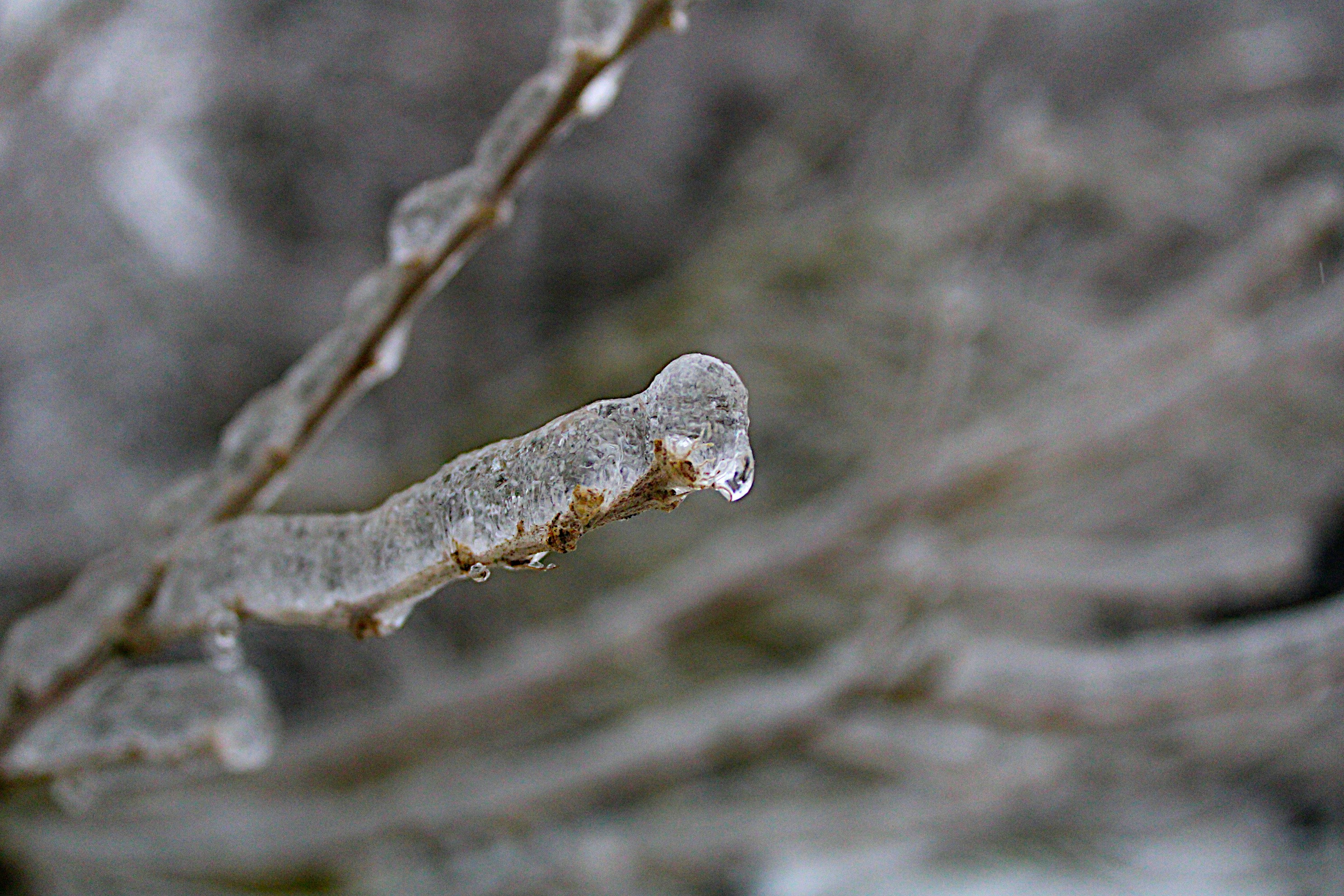 Photo by isaacstevenlind