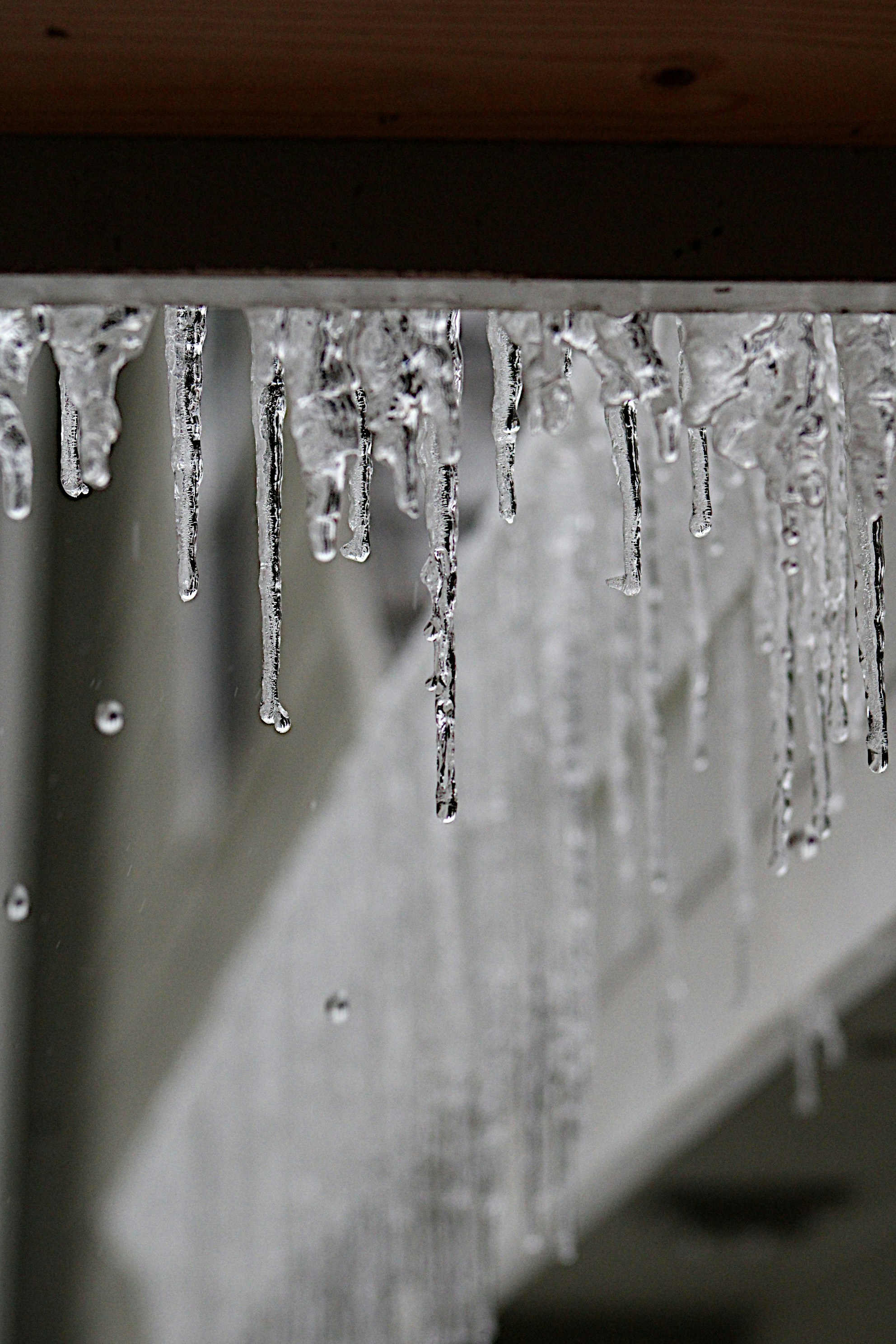 Photo by isaacstevenlind