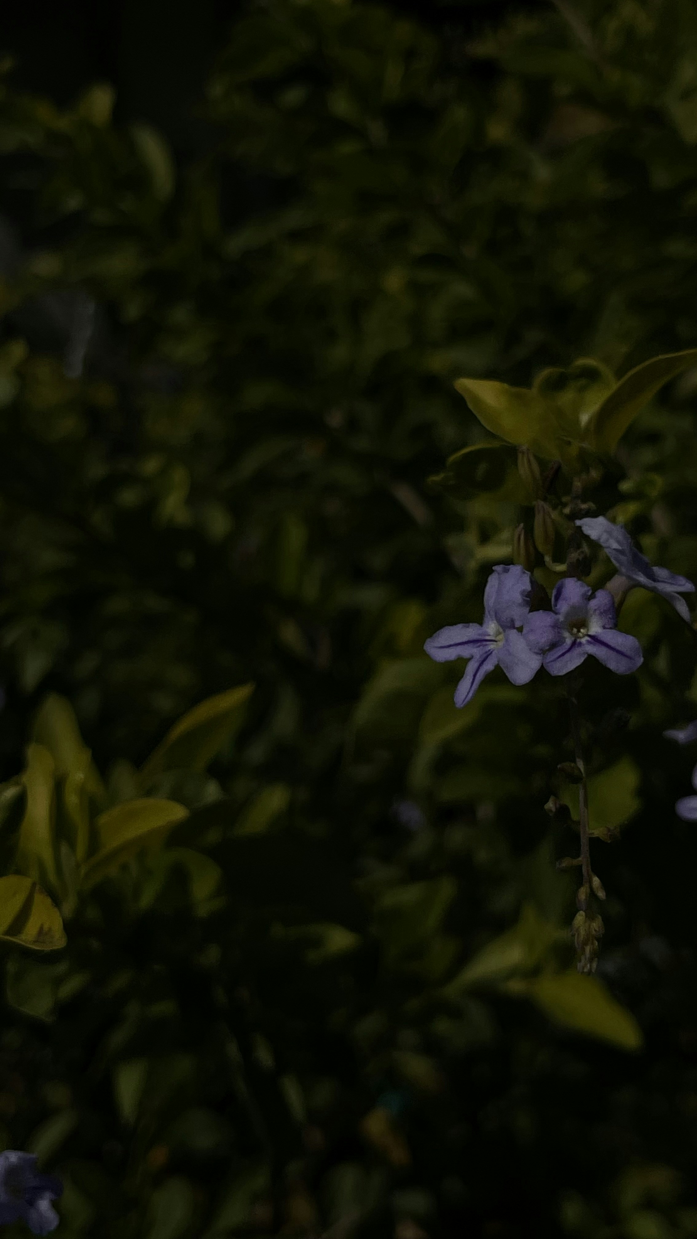 Photo by jay_sodha_001