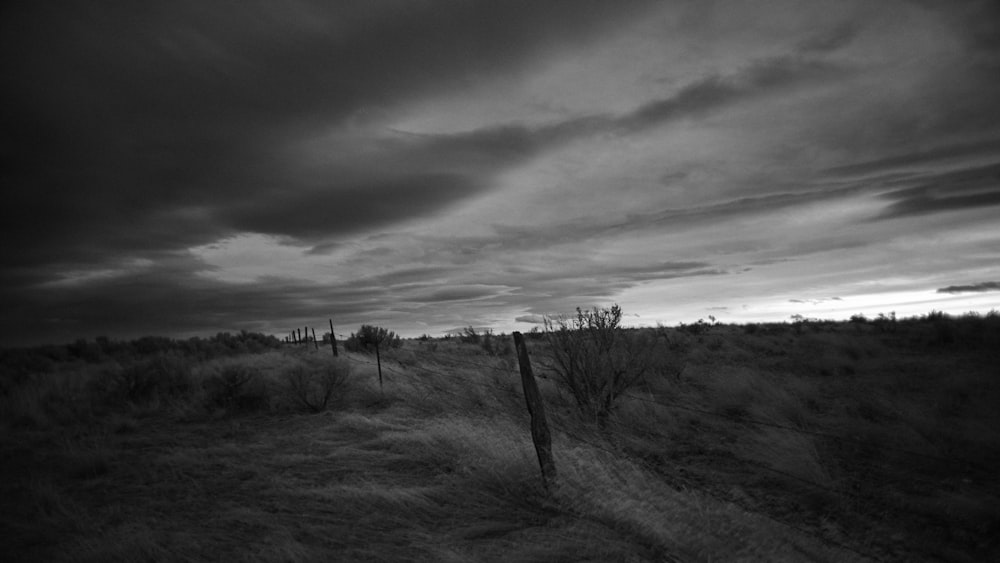 a black and white photo of a field