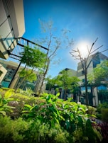Lush greenery with various types of plants and trees fills the landscaped area amidst modern architecture. The sunlight creates a vibrant hue in the clear blue sky, casting shadows alongside the buildings and trees. Metal structures blend with the natural environment, adding a touch of modern design.