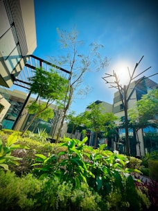 Lush greenery with various types of plants and trees fills the landscaped area amidst modern architecture. The sunlight creates a vibrant hue in the clear blue sky, casting shadows alongside the buildings and trees. Metal structures blend with the natural environment, adding a touch of modern design.