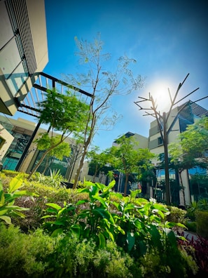 Lush greenery with various types of plants and trees fills the landscaped area amidst modern architecture. The sunlight creates a vibrant hue in the clear blue sky, casting shadows alongside the buildings and trees. Metal structures blend with the natural environment, adding a touch of modern design.