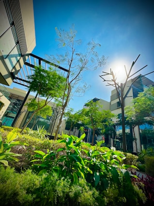 Lush greenery with various types of plants and trees fills the landscaped area amidst modern architecture. The sunlight creates a vibrant hue in the clear blue sky, casting shadows alongside the buildings and trees. Metal structures blend with the natural environment, adding a touch of modern design.