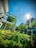 Lush greenery with various types of plants and trees fills the landscaped area amidst modern architecture. The sunlight creates a vibrant hue in the clear blue sky, casting shadows alongside the buildings and trees. Metal structures blend with the natural environment, adding a touch of modern design.