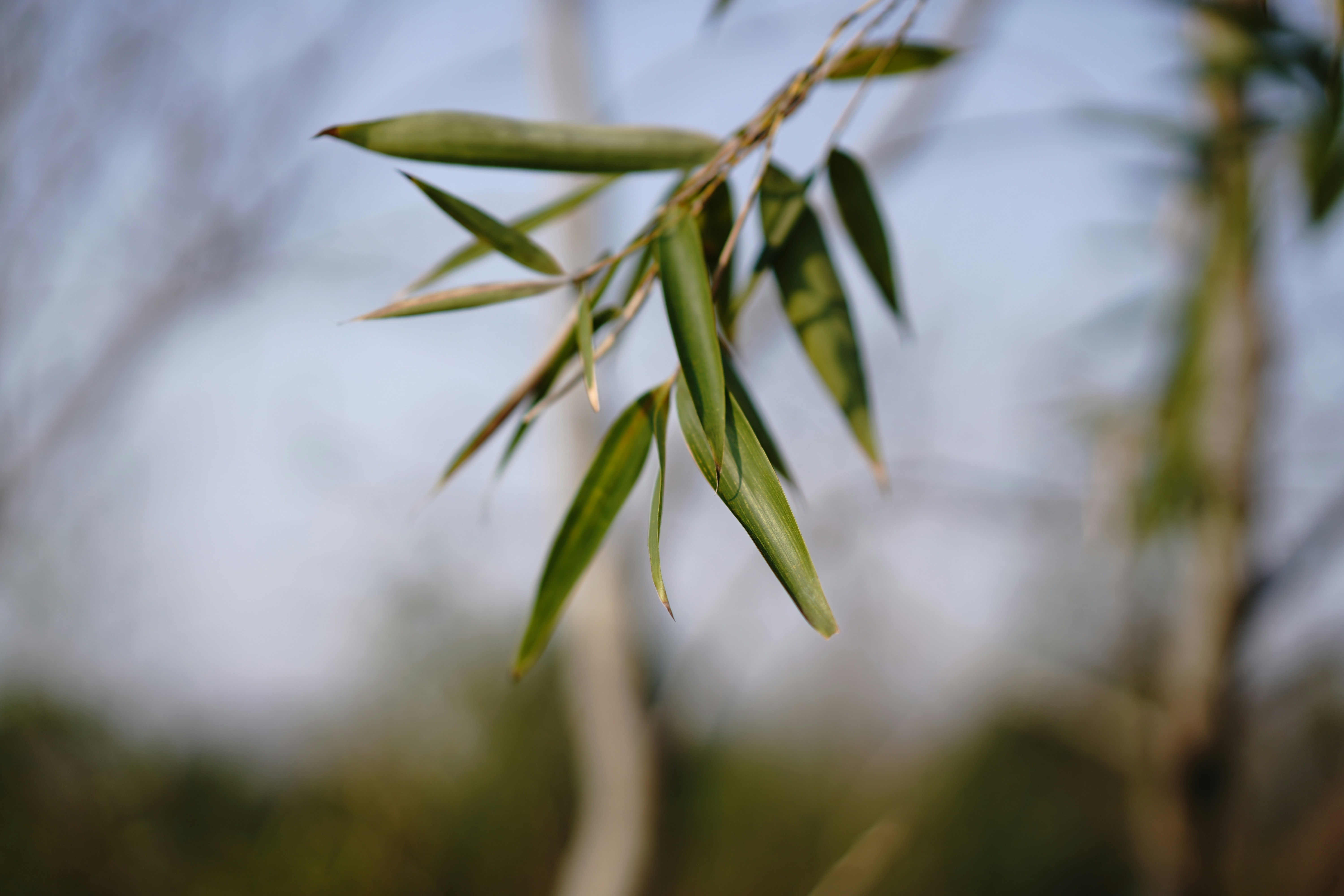 Photo by pingguoilove