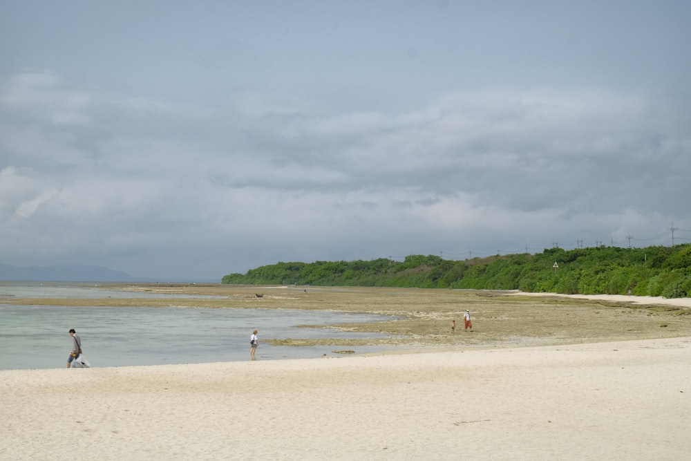 a group of people standing on top of a sandy beach