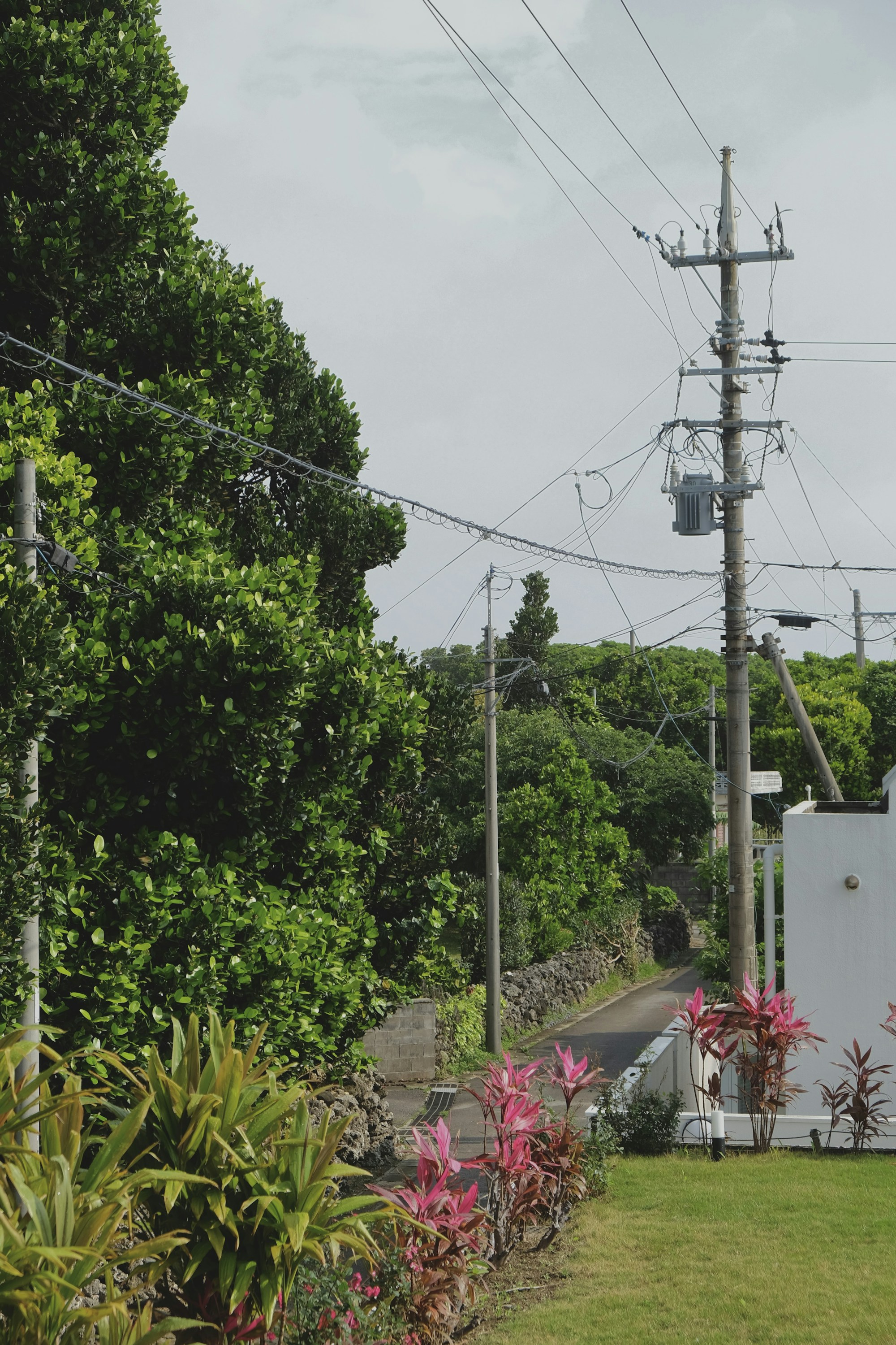 Kumejima Weather Guide: Best Times to Visit for Ideal Seasons