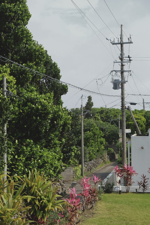 Kumejima Weather Guide: Best Times to Visit for Ideal Seasons