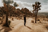 A person is standing on a sandy trail surrounded by desert vegetation and Joshua trees. In the background, rocky hills rise under an expansive, cloudy sky, creating a rugged and serene landscape.