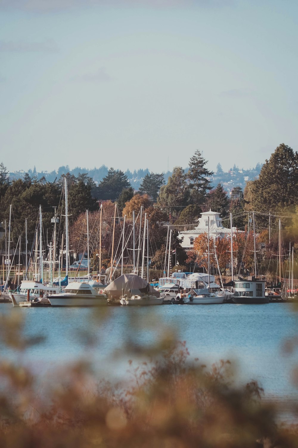 a bunch of boats that are in the water