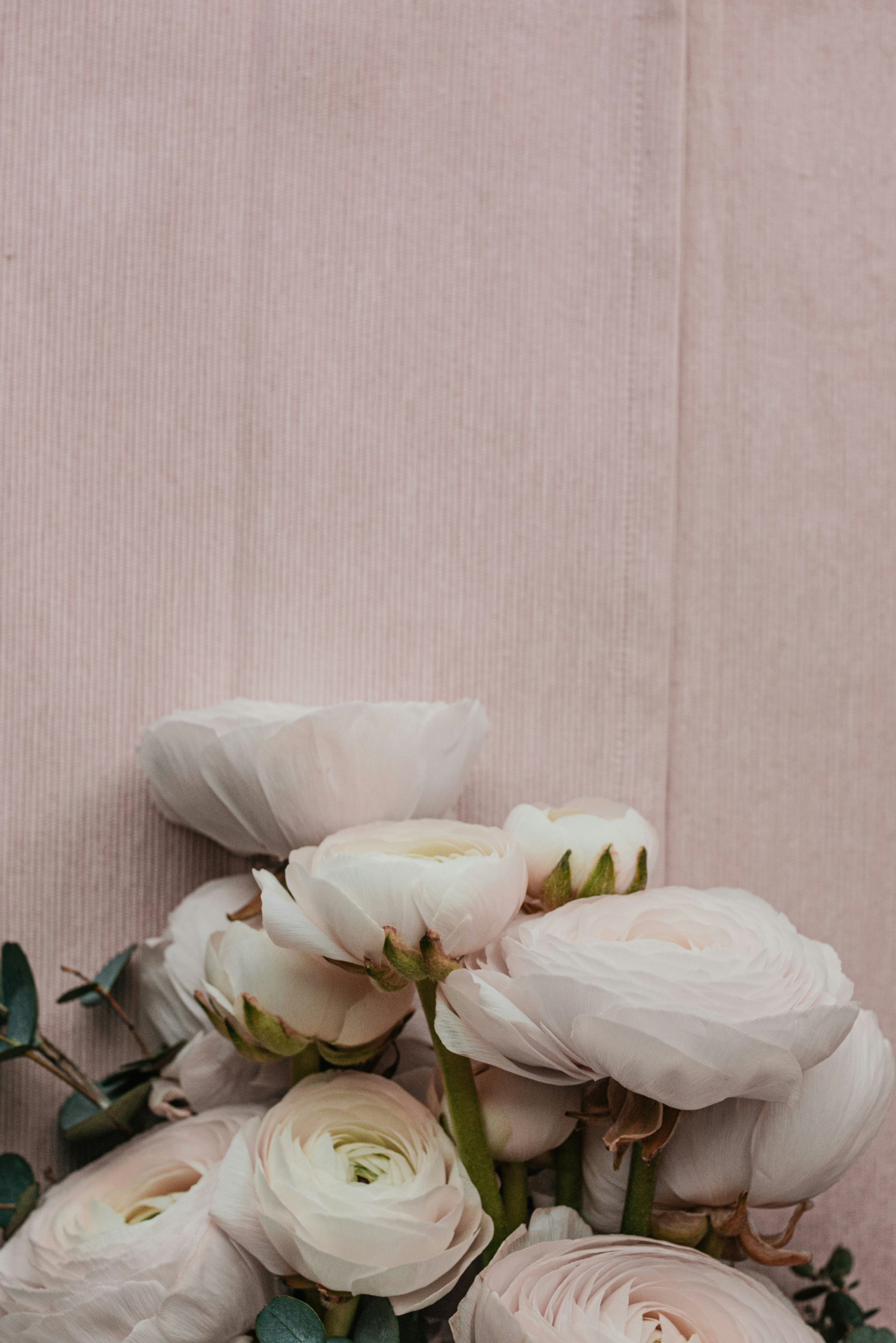 Photo by anitaaustvika