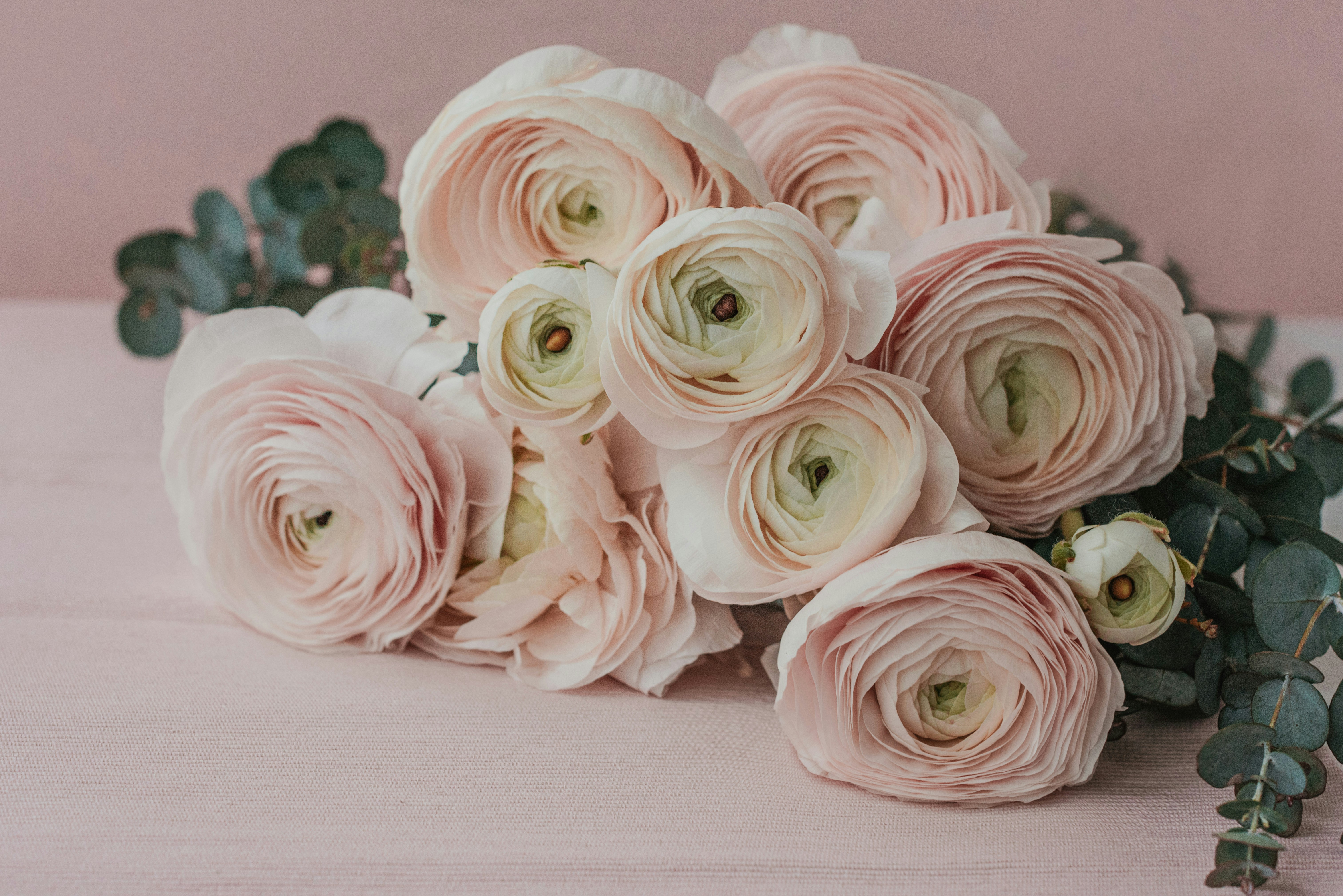 Photo by anitaaustvika