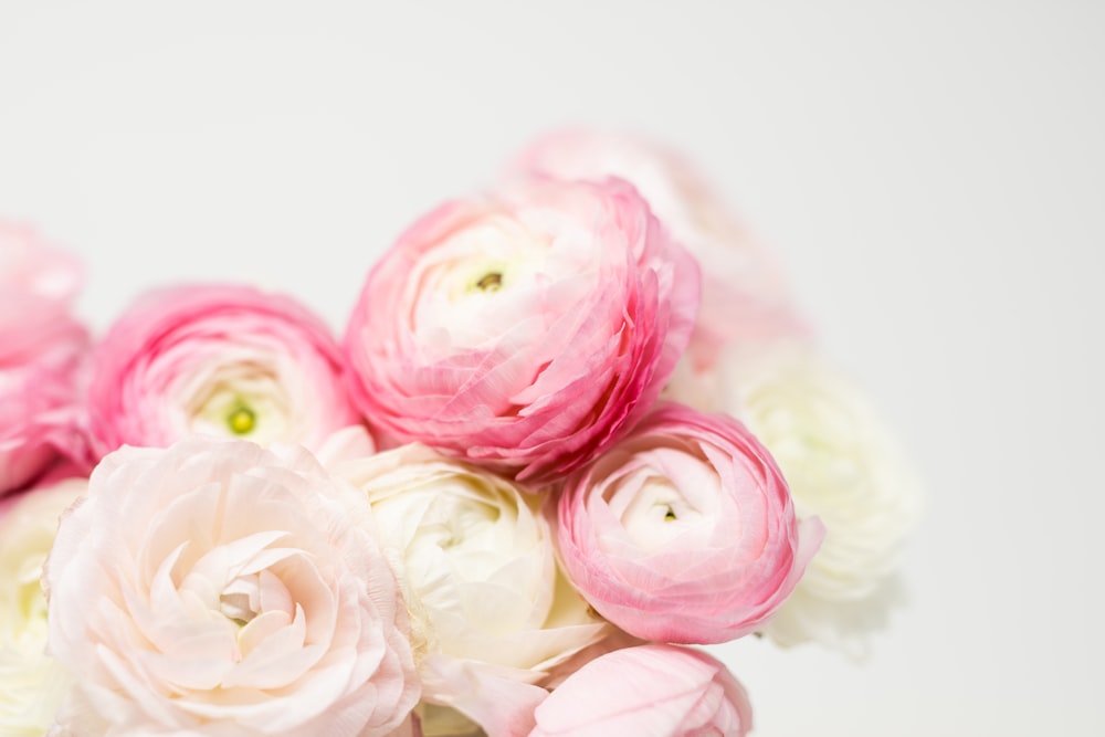 Un jarrón lleno de flores rosadas y blancas