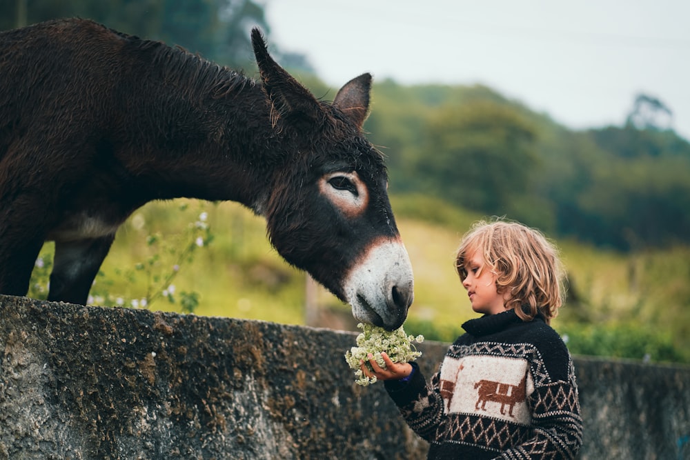 a little girl feeding a donkey a piece of broccoli