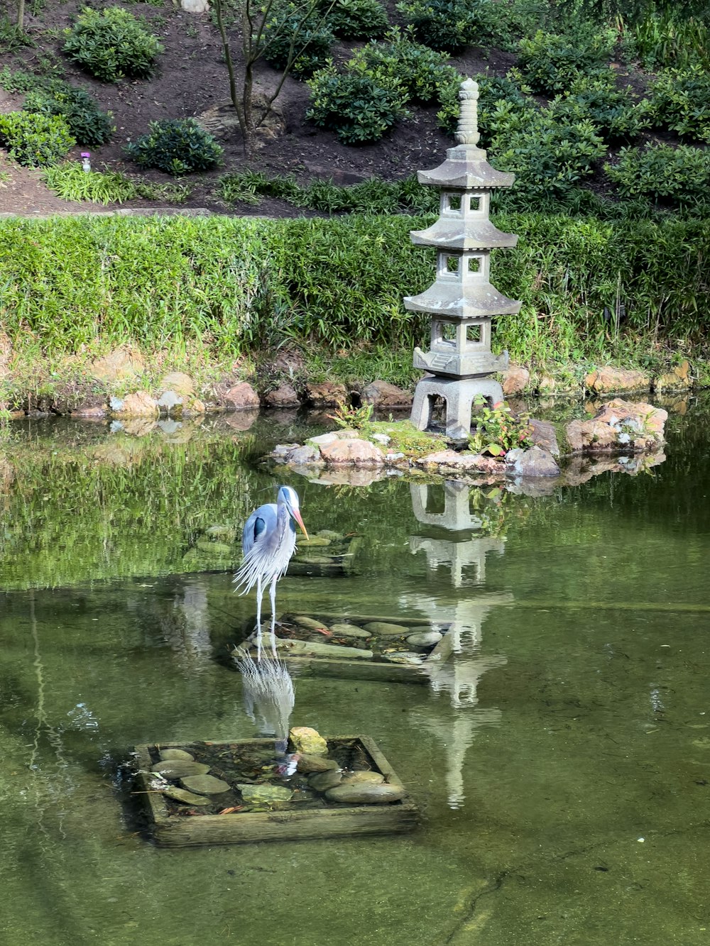 a bird is standing on a piece of wood in the water
