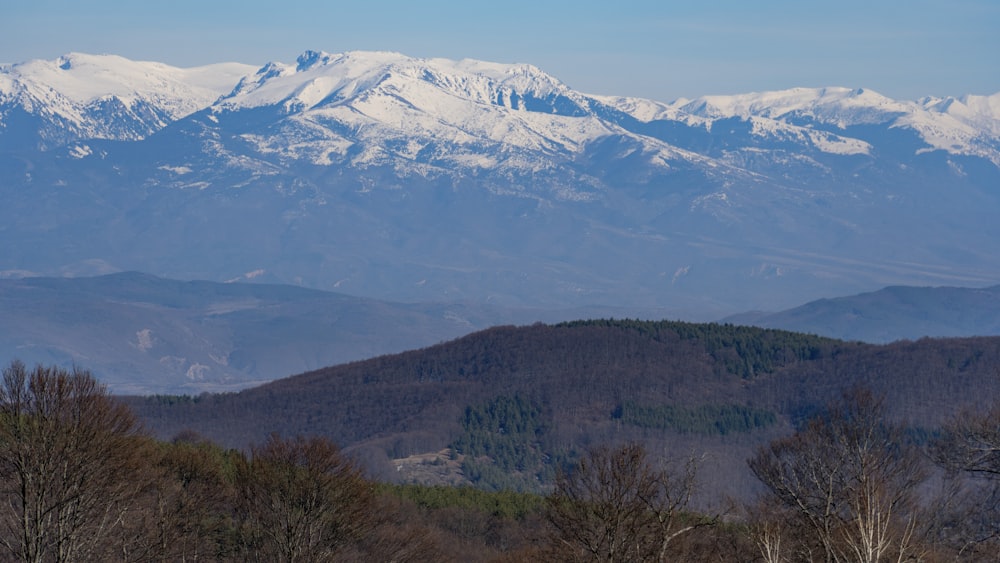 a view of a snowy mountain range with trees in the foreground