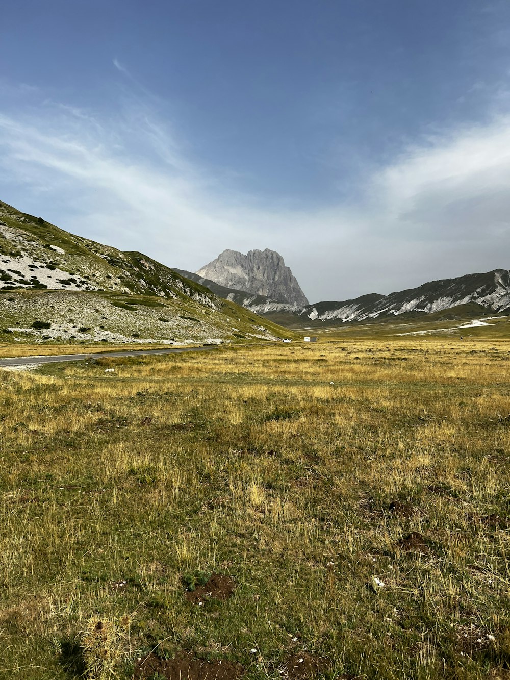 a grassy field with a mountain in the background