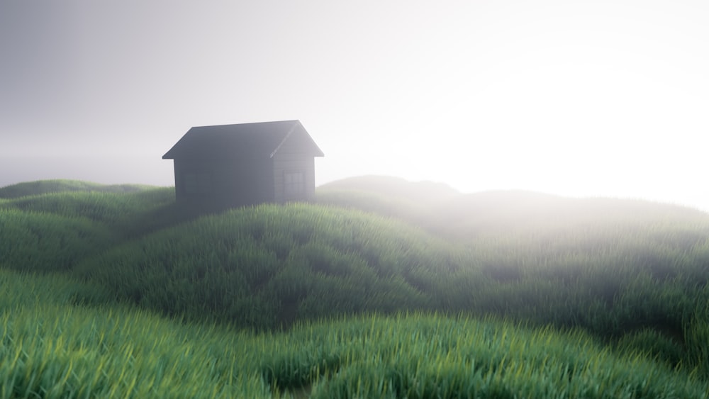 a house in the middle of a grassy field