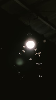 A bright light bulb hangs from a ceiling, surrounded by several moths attracted to the light. The setting appears to be at night, with a dark background enhancing the brightness of the bulb. The ceiling has a wooden or metal structure, visible only in part, and the scene conveys a sense of quietude and focus on the insects circling the light source.