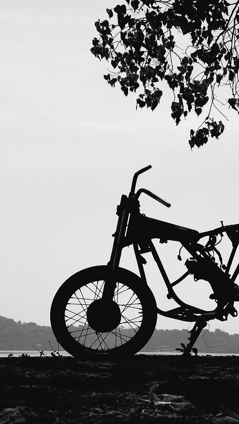 a black and white photo of a bike parked next to a tree