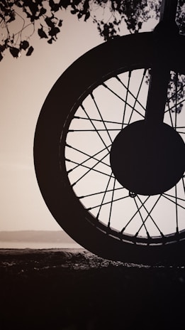 A vibrant before-and-after photo showing a portrait transformed using da wheelie presets.