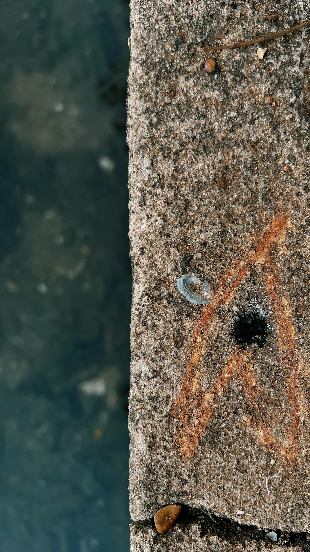 a close up of a rock with a drawing on it