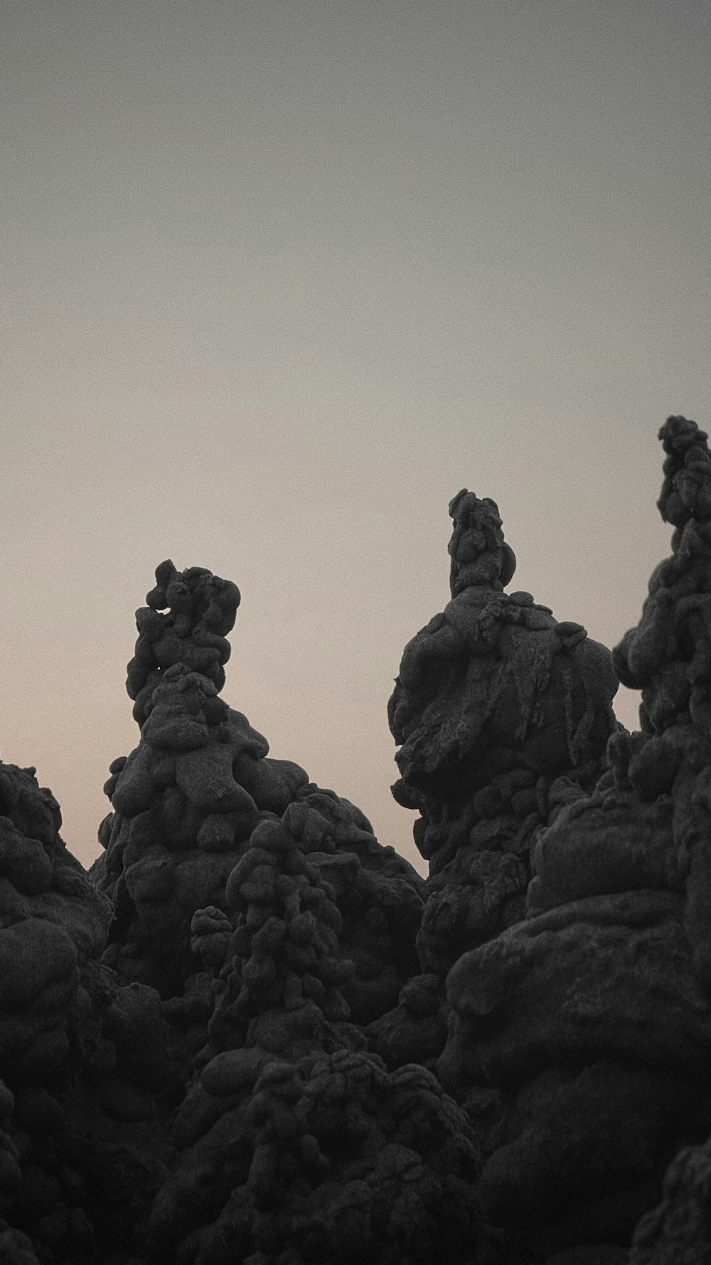 a black and white photo of some rocks