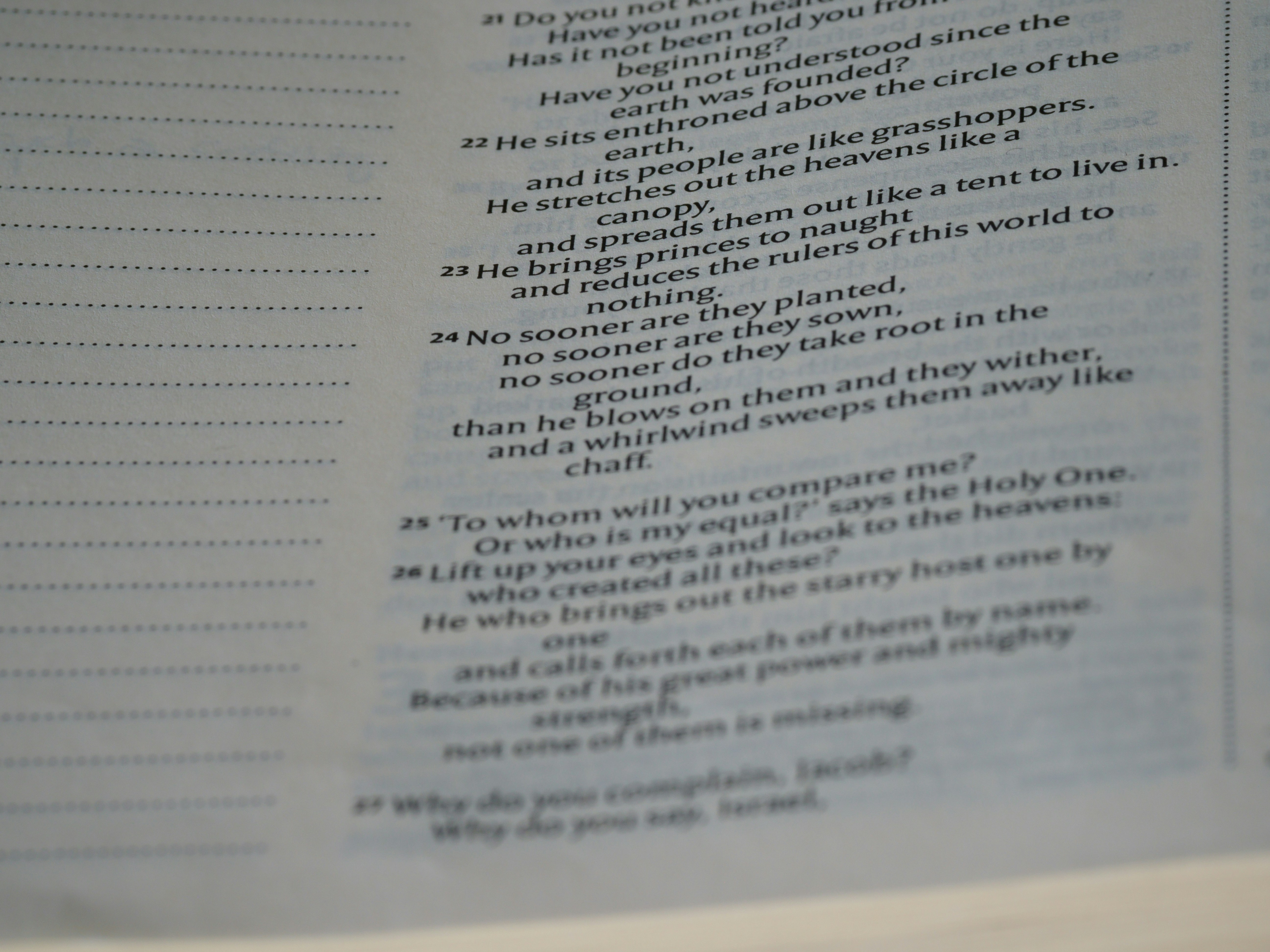 Photo by brett_jordan