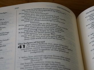 Text from an open book is visible, displaying passages with chapter and verse numbers. The pages are part of the Bible's Old Testament, specifically Isaiah 40. The font is a standard serif type, and the text is arranged in two columns on each page.