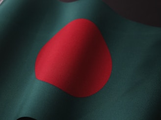 a close up of the flag of bangladesh