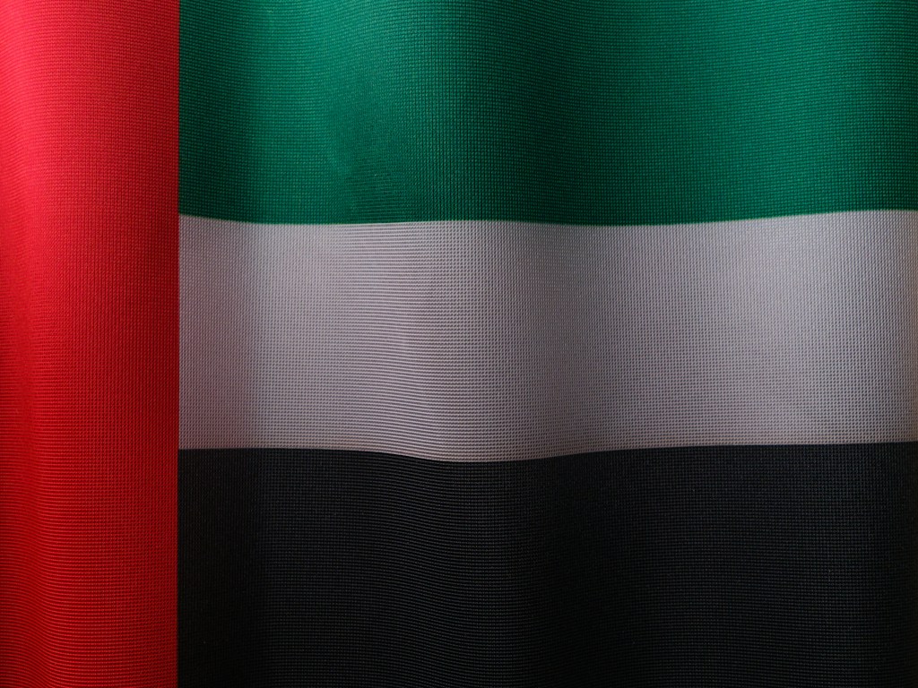 Brazil Colors Campaign Tee