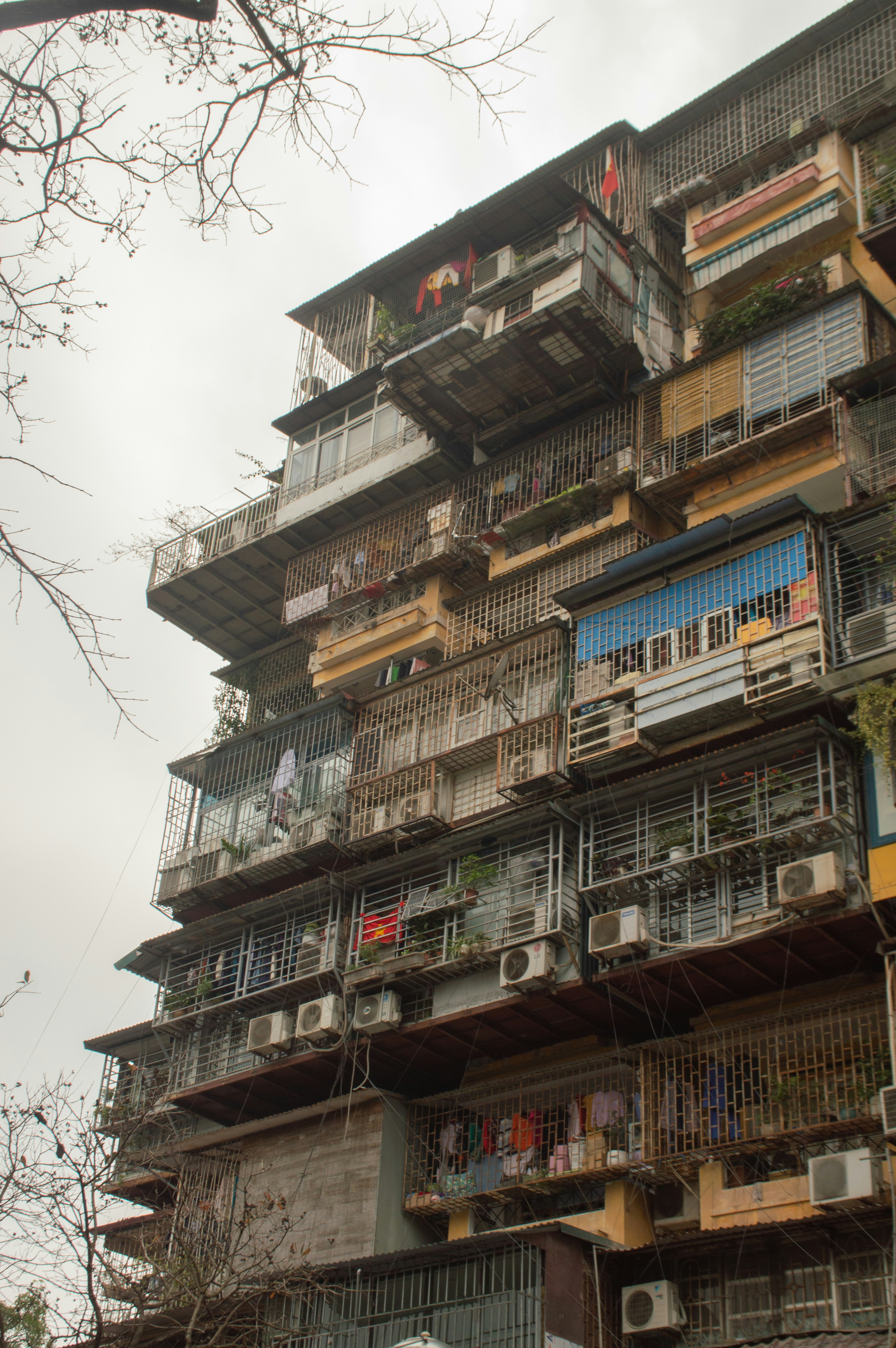 Photo by ngochau