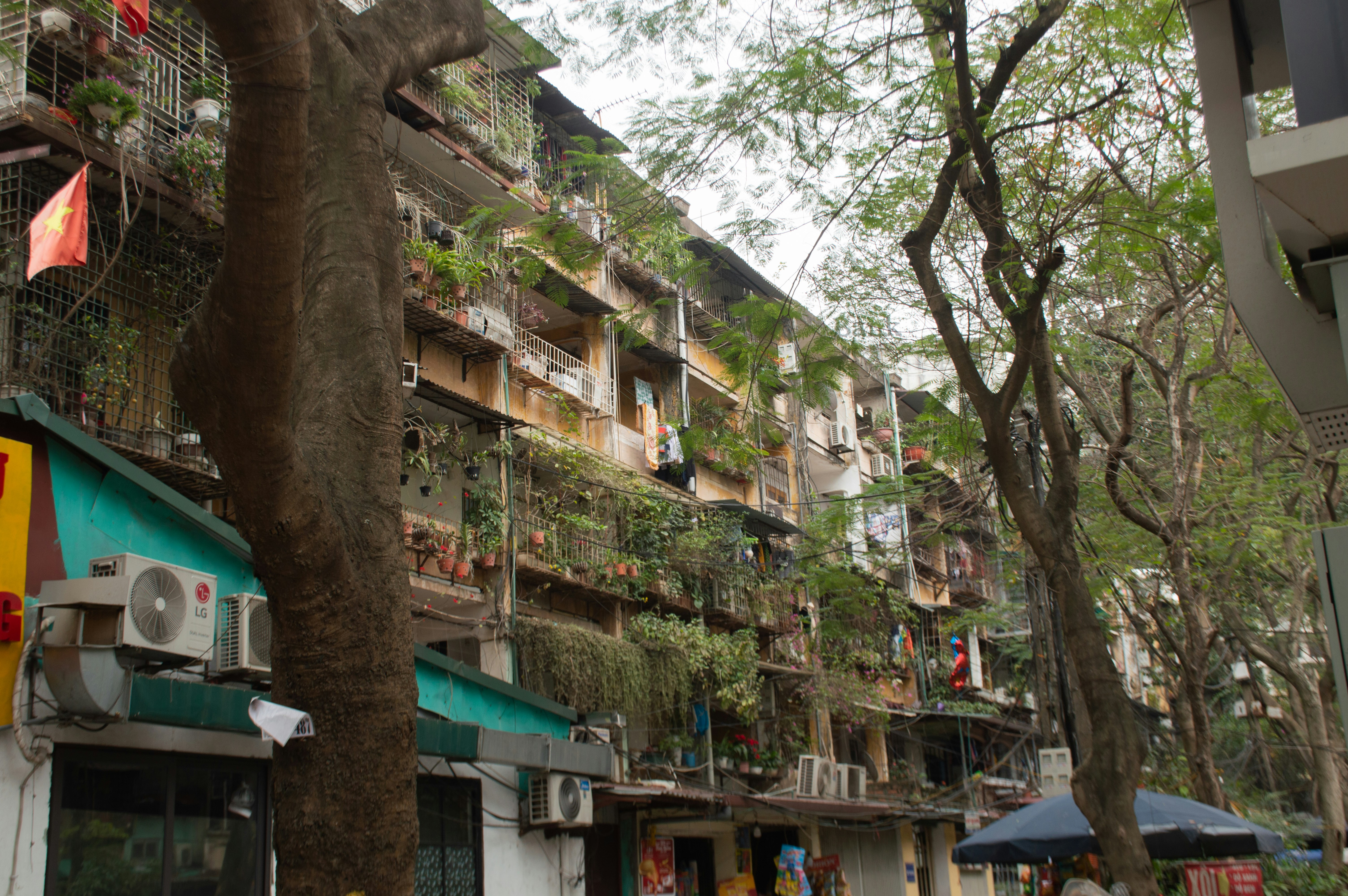 Photo by ngochau