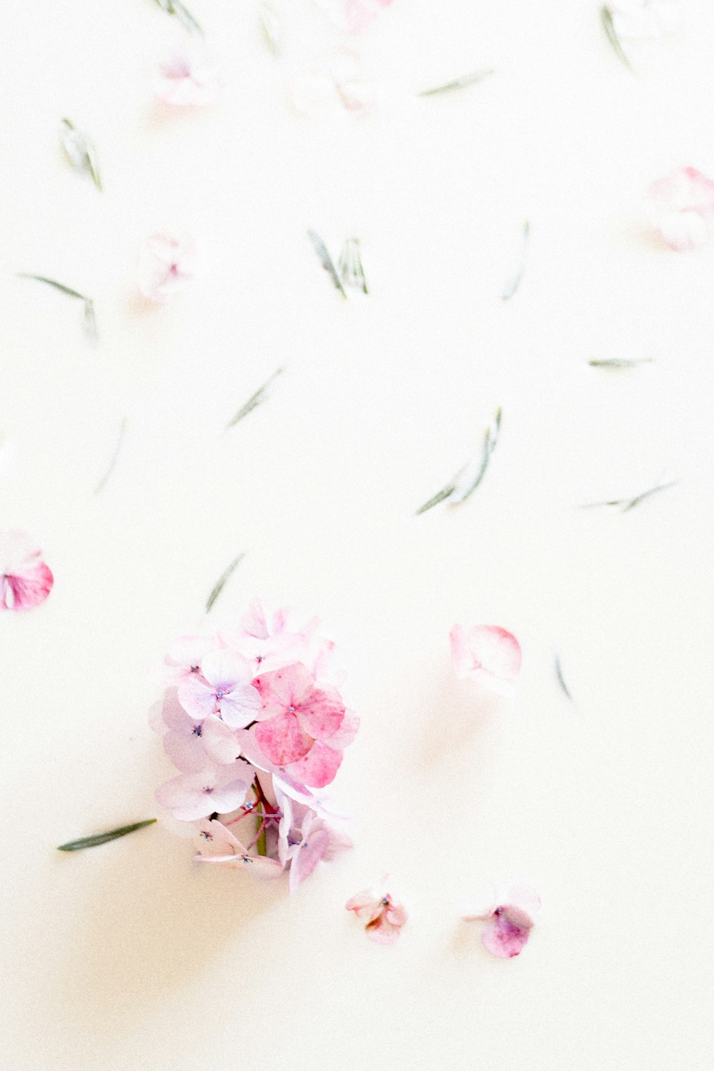 a bunch of pink flowers on a white surface