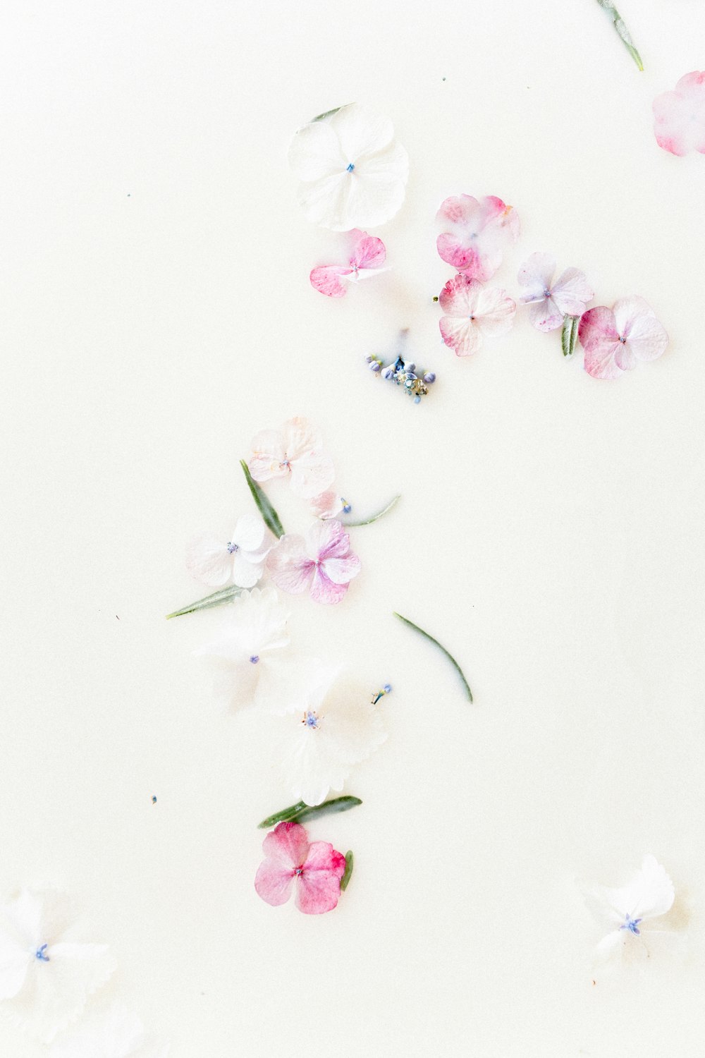 a group of flowers laying on top of a white surface