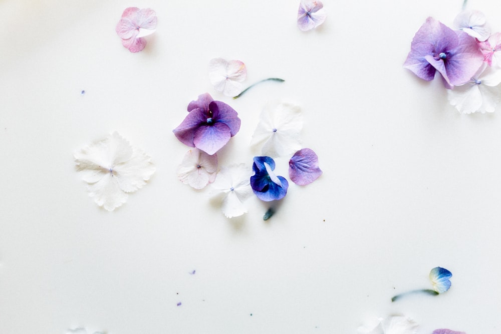 purple and white flowers on a white surface